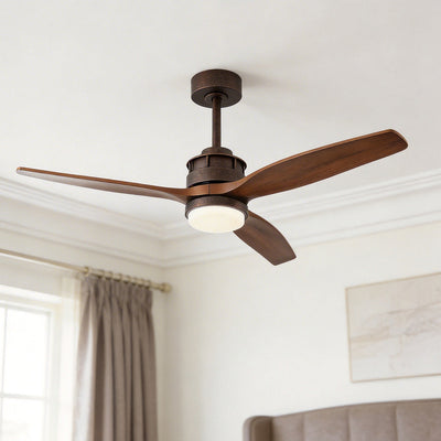 Ceiling Fans