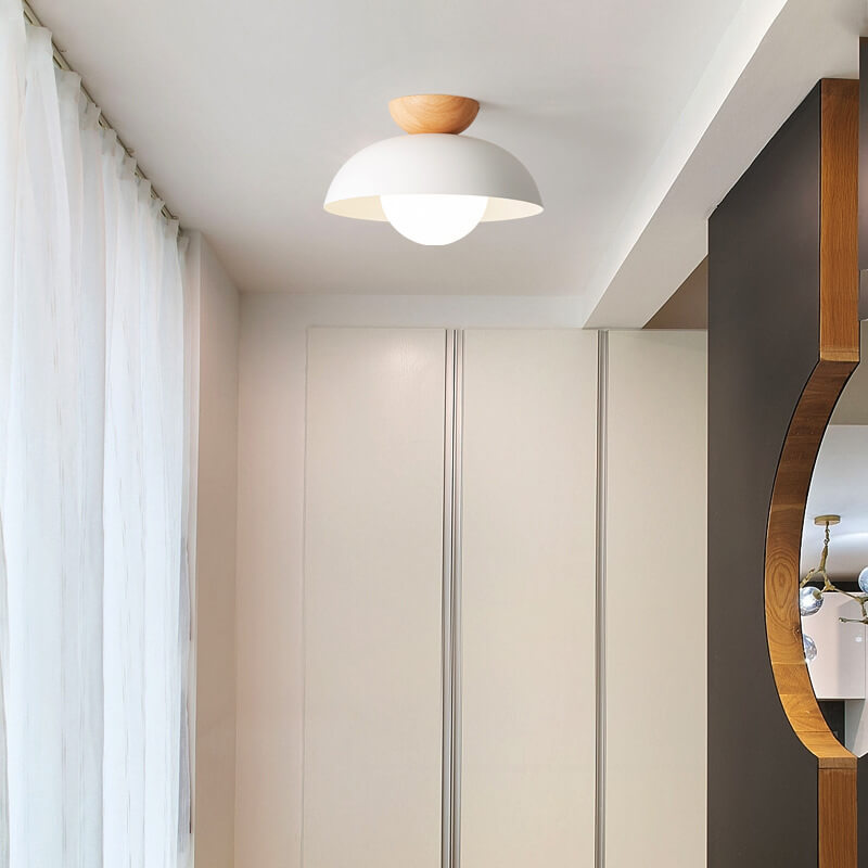 Contemporary Nordic Round Dome Iron Glass 1-Light Semi-Flush Mount Ceiling Light for Living Room & Bedroom