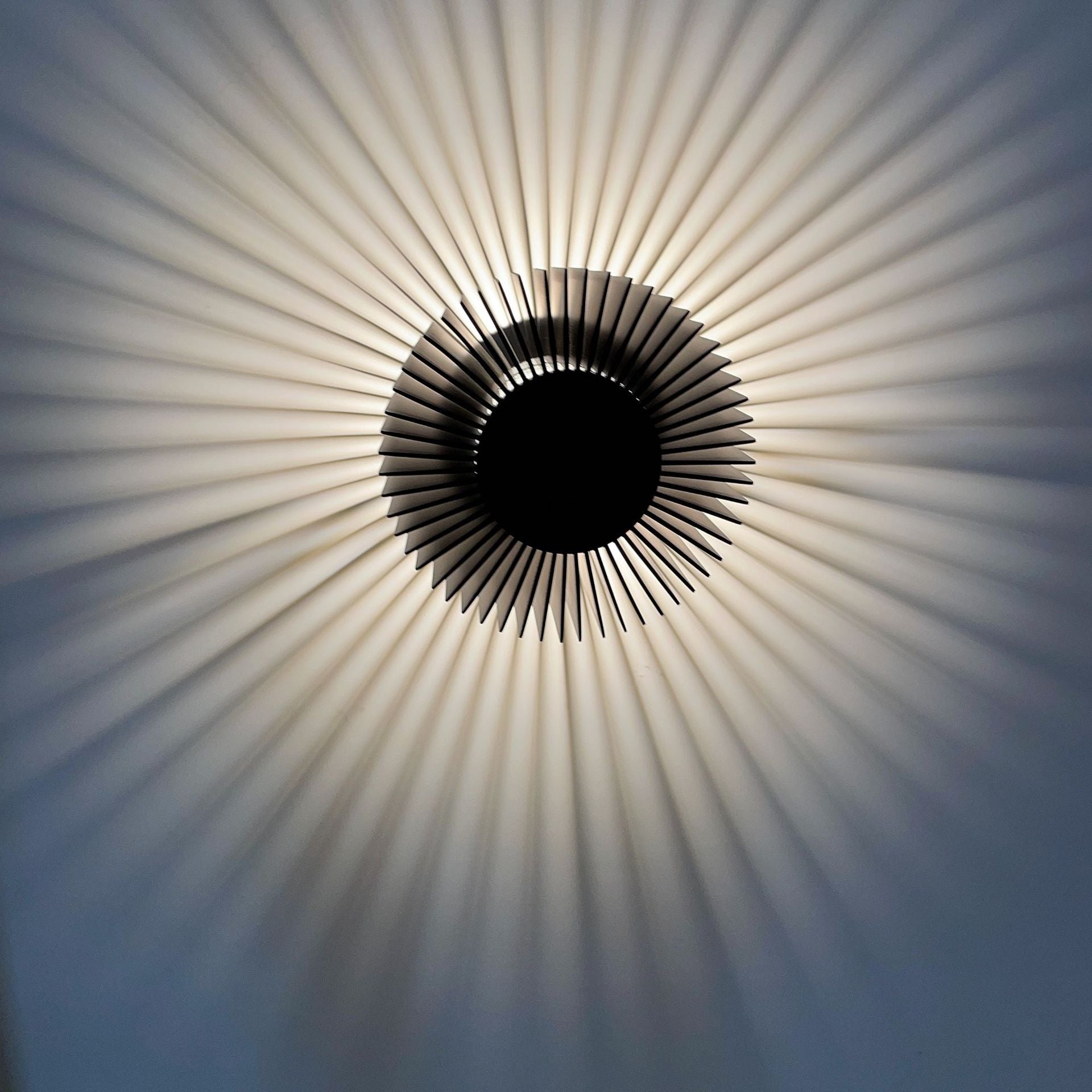 Modern Minimalist Aluminum Round Sun Flower LED Wall Sconce for Living Room