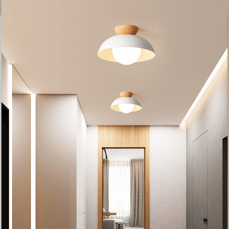Contemporary Nordic Round Dome Iron Glass 1-Light Semi-Flush Mount Ceiling Light for Living Room & Bedroom