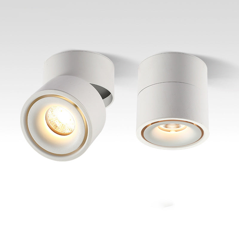 Modern Minimalist Adjustable Aluminum LED Ceiling Light for Living Room