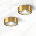 Modern Copper Ultra-thin LED Flush Mount Light for Hallway