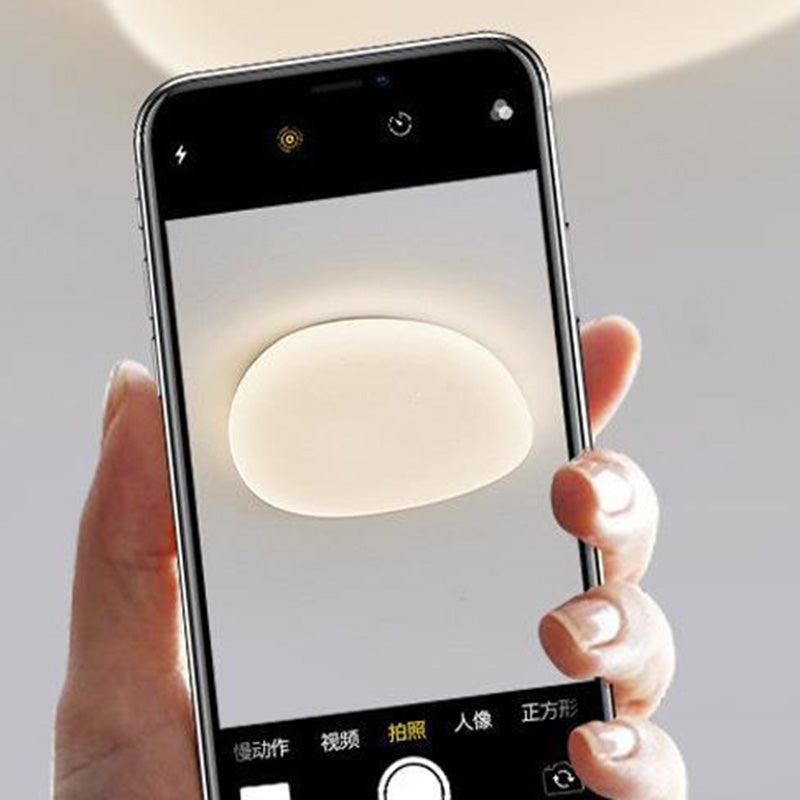 Modern Minimalist Pebble Shape LED Flush Mount Ceiling Light for Bedroom