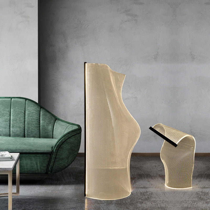 Modern Art Deco Acrylic Aluminum LED Floor Lamp for Living Room  

Transform your living space with this stunning Modern Art Deco floor lamp. Crafted from durable acrylic and aluminum, this irregular-shaped lamp features energy-efficient LED lighting that