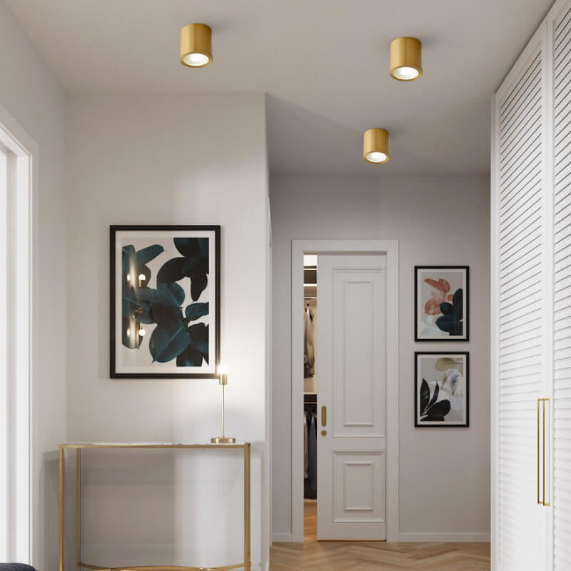Modern Brass LED Spotlight Flush Mount Ceiling Light