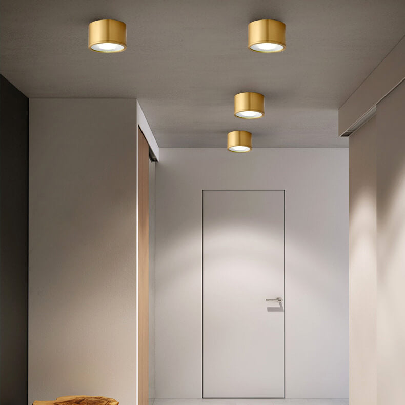 Modern Brass LED Spotlight Flush Mount Ceiling Light