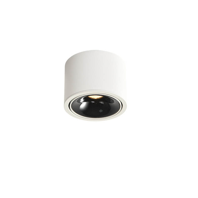 Modern Minimalist Aluminum Round LED Flush Mount Spotlight for Living Room