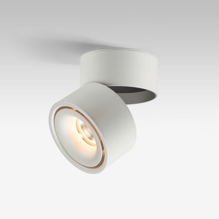 Modern Minimalist Adjustable Aluminum LED Ceiling Light for Living Room