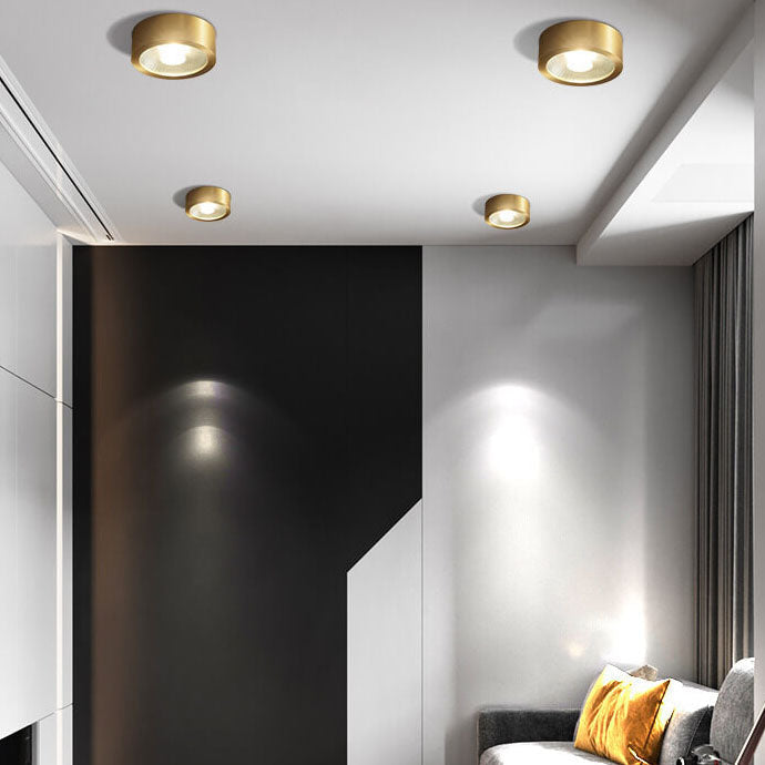 Modern Copper Ultra-thin LED Flush Mount Light for Hallway