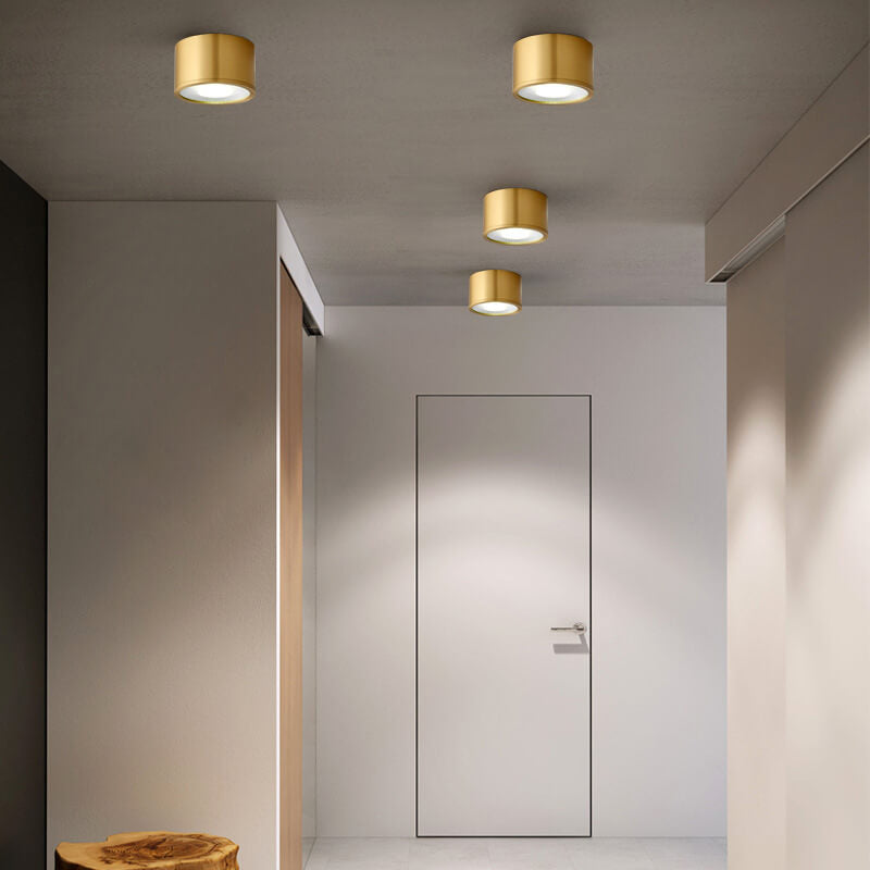 Modern Brass LED Spotlight Flush Mount Ceiling Light
