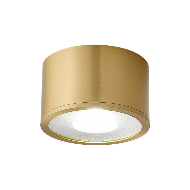 Modern Brass LED Spotlight Flush Mount Ceiling Light