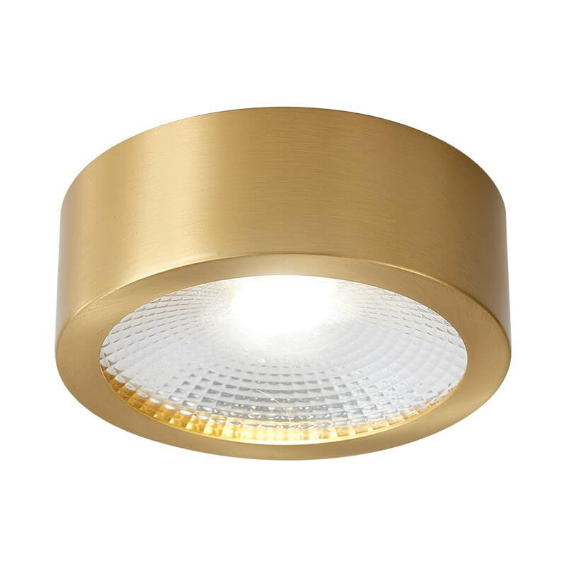Modern Copper Ultra-thin LED Flush Mount Light for Hallway