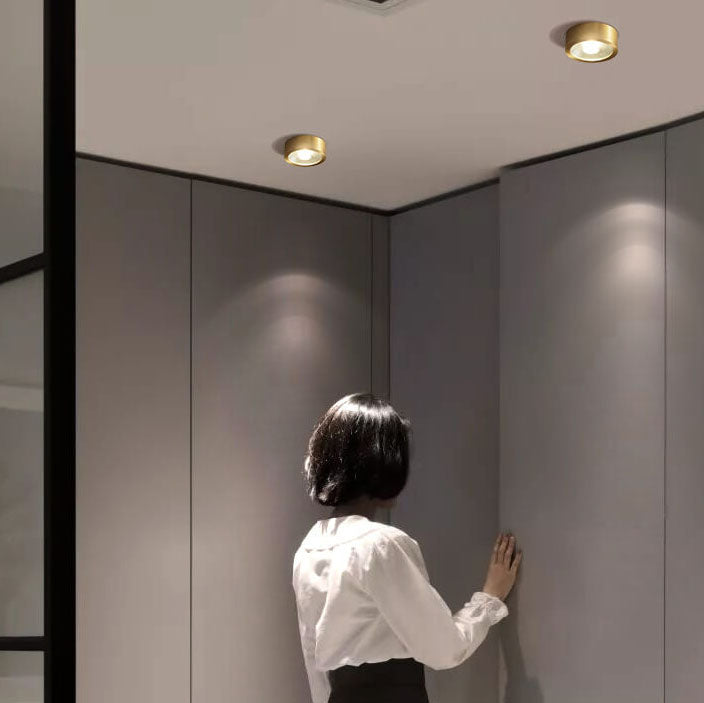 Modern Copper Ultra-thin LED Flush Mount Light for Hallway