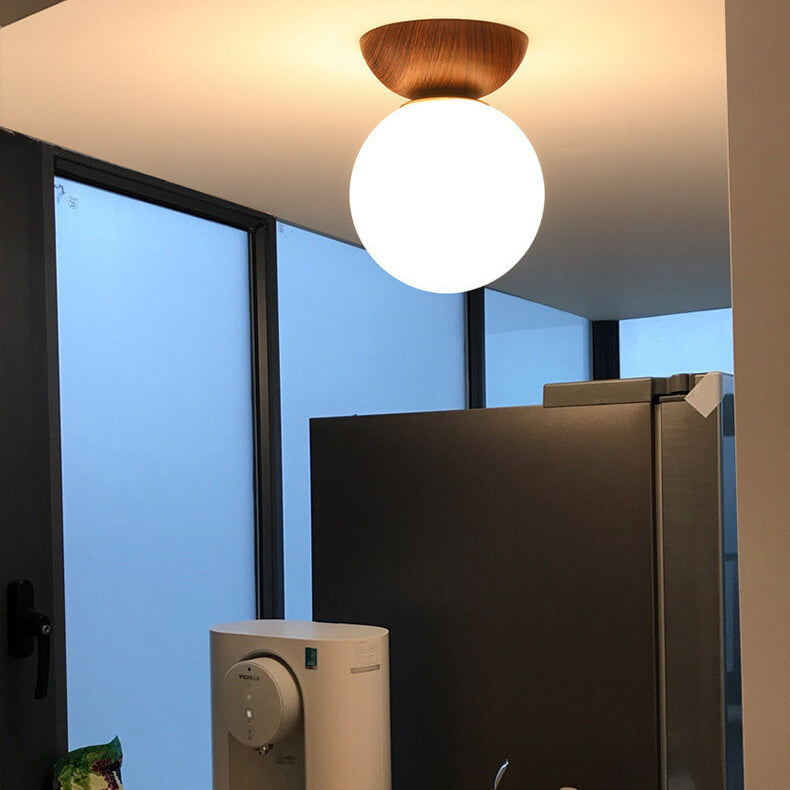 Modern Minimalist Glass Iron Orb Semi-Flush Pendant Light for Living Room