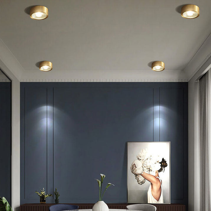 Modern Copper Ultra-thin LED Flush Mount Light for Hallway