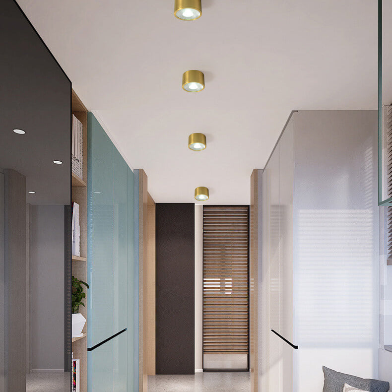 Modern Brass LED Spotlight Flush Mount Ceiling Light