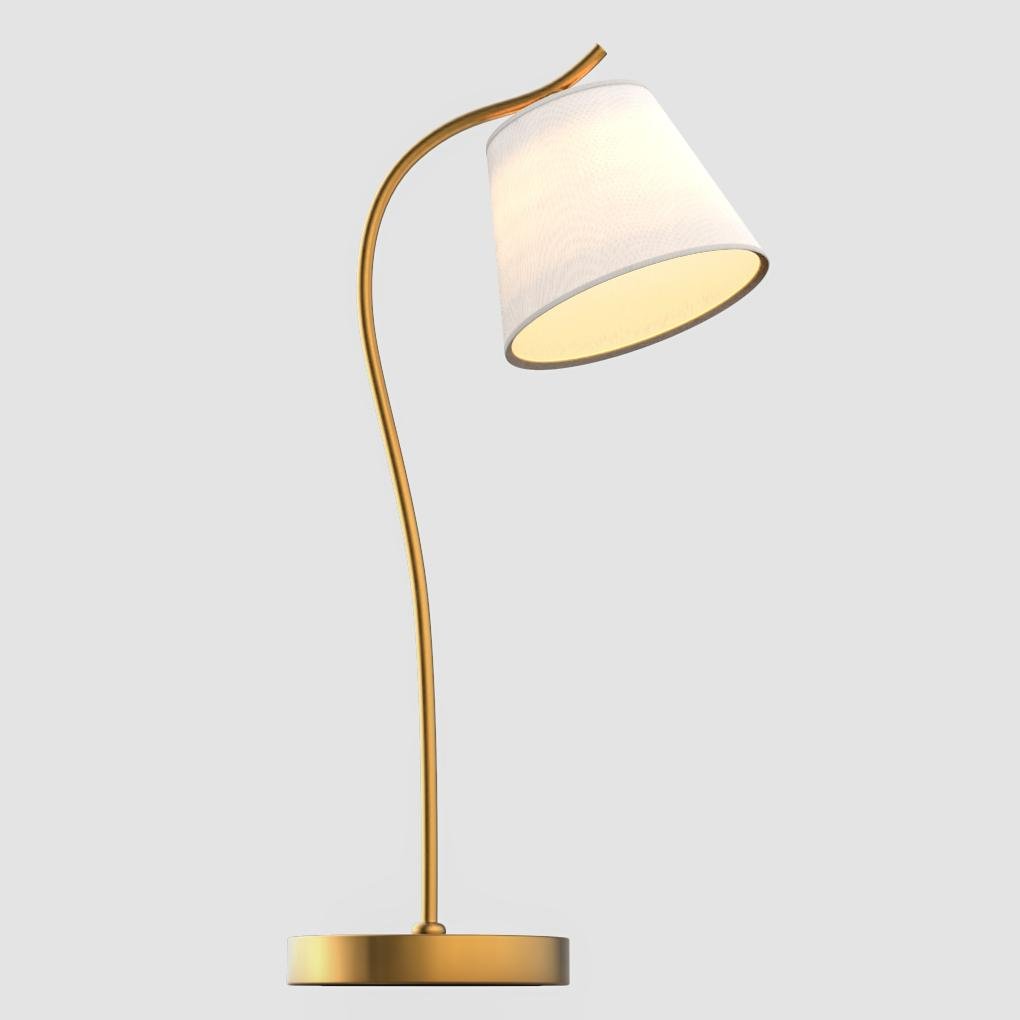 Metal Gooseneck Desk Lamp with Cone Shade for Home Office Lighting