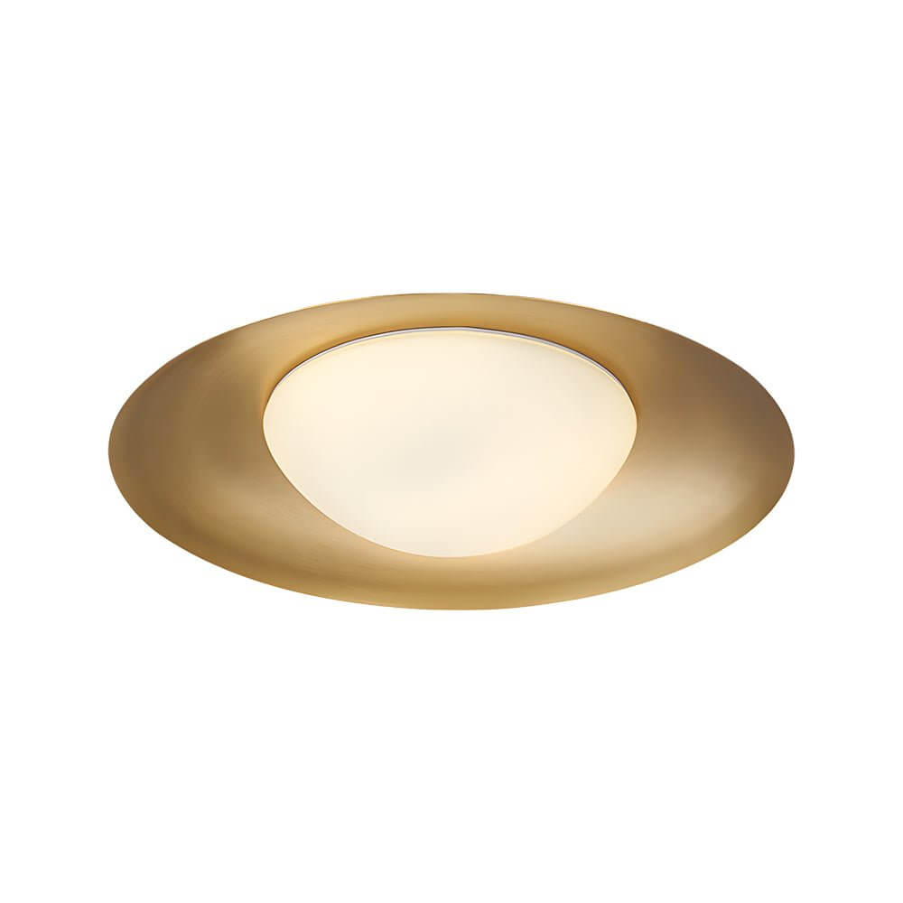 1-Light Round LED Flush Mount Ceiling Light - Modern Energy Efficient Fixture for Home Lighting