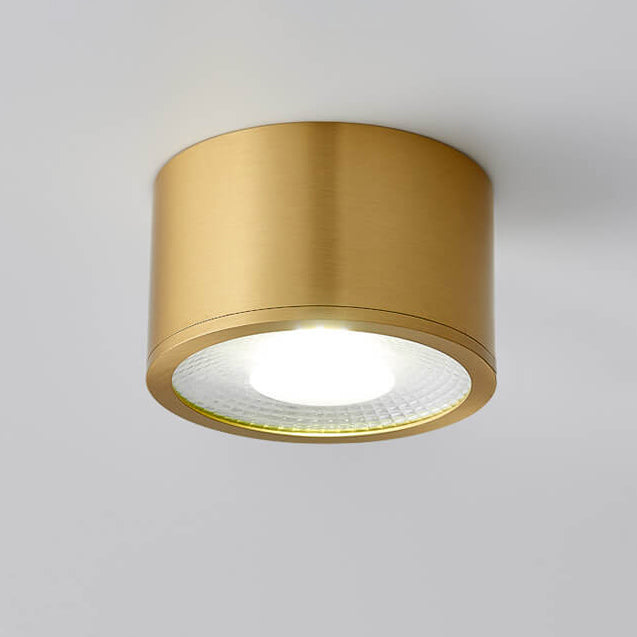 Modern Brass LED Spotlight Flush Mount Ceiling Light