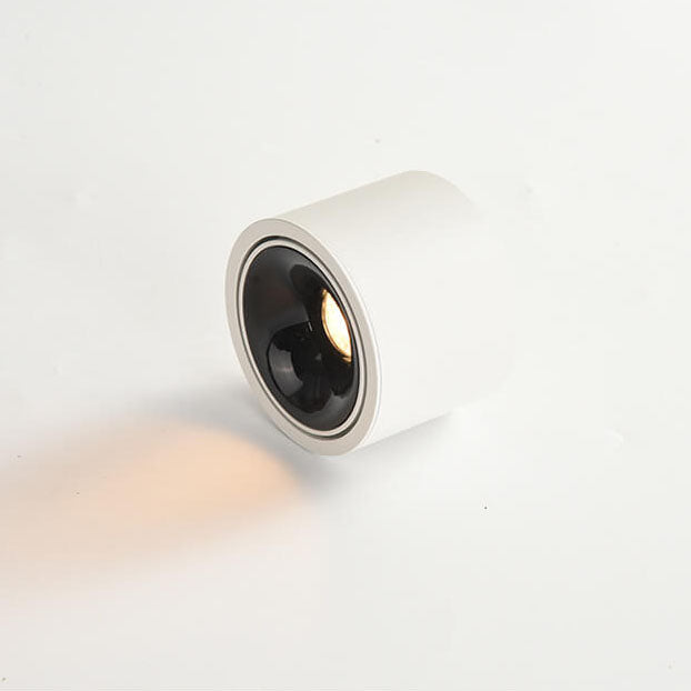 Modern Minimalist Aluminum Round LED Flush Mount Spotlight for Living Room
