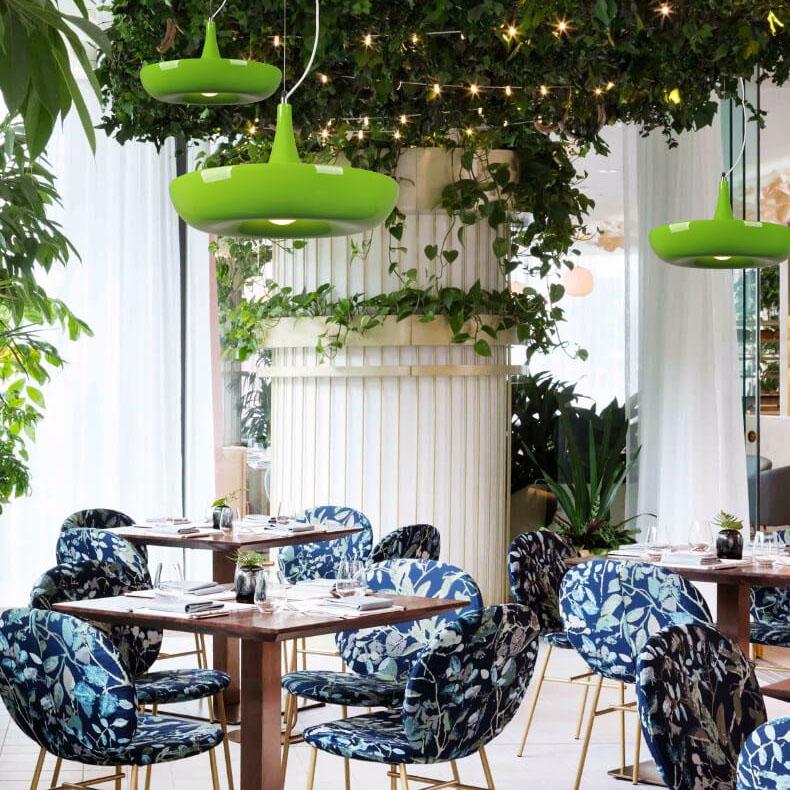 Modern Circle Plant 1-Light Pendant - Refreshing Indoor Lighting Fixture