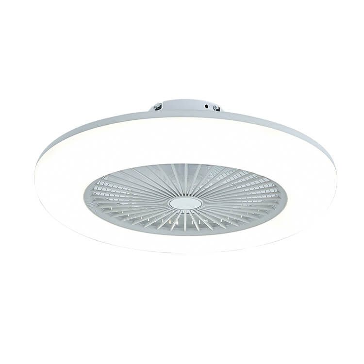 Modern Acrylic Ceiling Fan LED Semi-Flush Mount Lighting