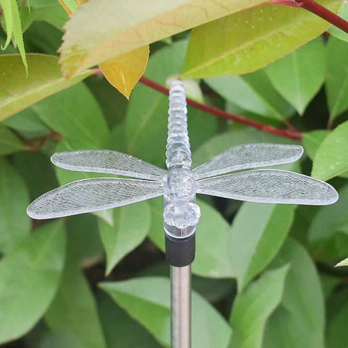 Solar Hummingbird Butterfly Dragonfly Outdoor LED Path Light - Garden Courtyard Decorative Ground Insert Lighting