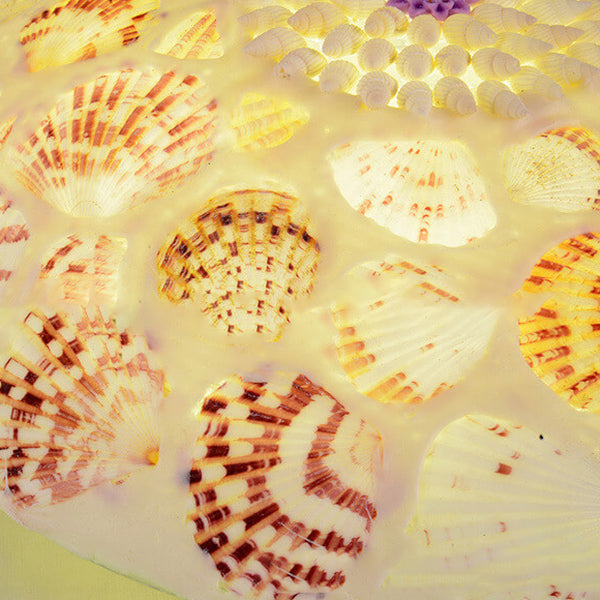 Mediterranean Shell Art LED Flush Mount Ceiling Light