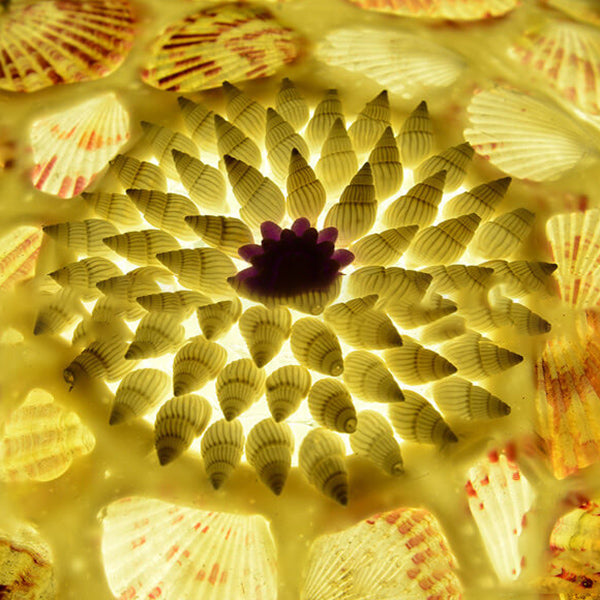 Mediterranean Shell Art LED Flush Mount Ceiling Light