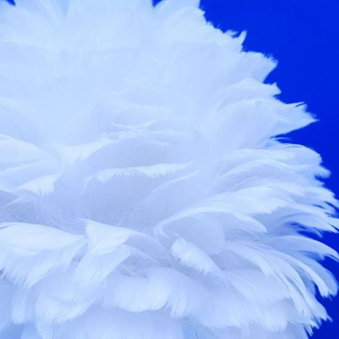 Modern Creative Unicorn Feather Children 1-Light Table Lamp, Adorable Unicorn Lamp for Girls, Colorful Kid's Room Decor, Cute Night Light for Kids, Fantasy Unicorn Lighting for Nurseries, Whimsical Feather Accent Lamp, LED Table Lamp for Playroom, Dreamy