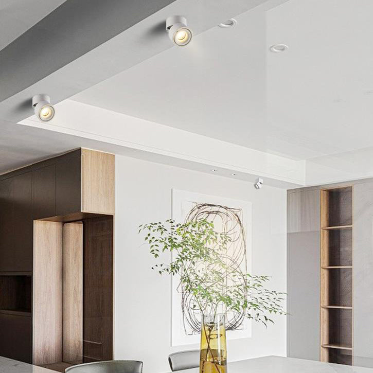 Modern Minimalist Adjustable Aluminum LED Ceiling Light for Living Room