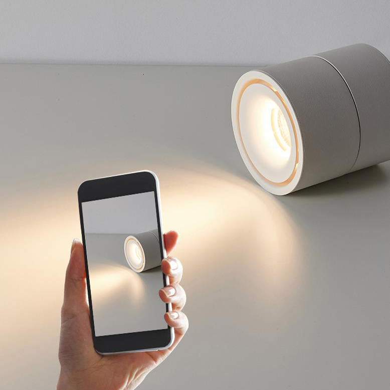 Modern Minimalist Adjustable Aluminum LED Ceiling Light for Living Room