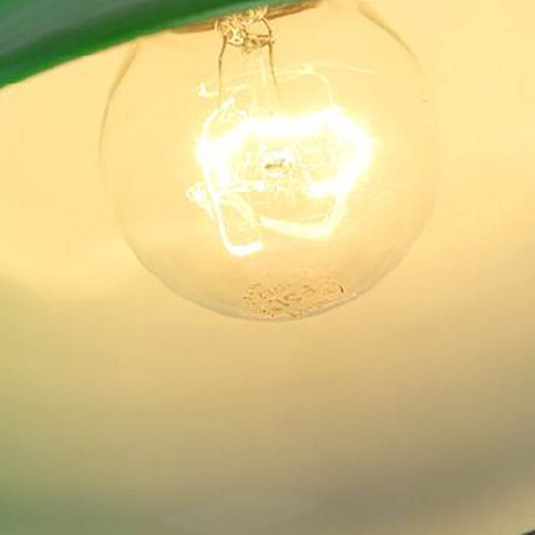 Contemporary Retro Emerald Green Flared Glass Pendant Light for Dining Room

Brighten your dining room with this stylish, contemporary retro pendant light. The emerald green flared glass shade adds a pop of elegance, making it the perfect ceiling fixture