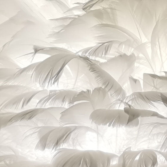 Contemporary Nordic Goose Feather Flamingo Table Lamp - 1-Light Bedside Elegance