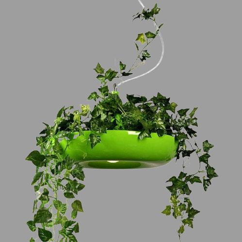 Modern Circle Plant 1-Light Pendant - Refreshing Indoor Lighting Fixture