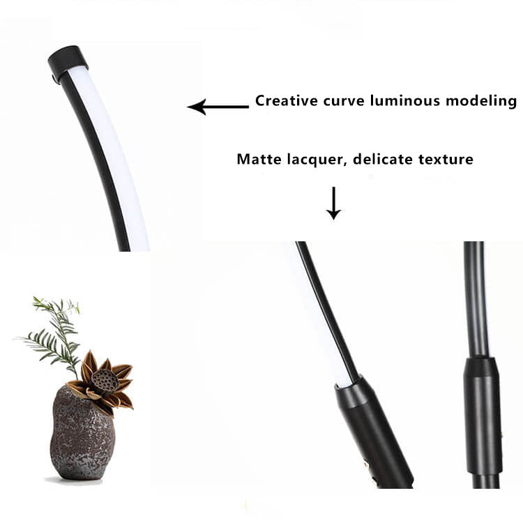 Modern Minimalist Curved Line LED Floor Lamp - Stylish & Energy-Efficient Lighting