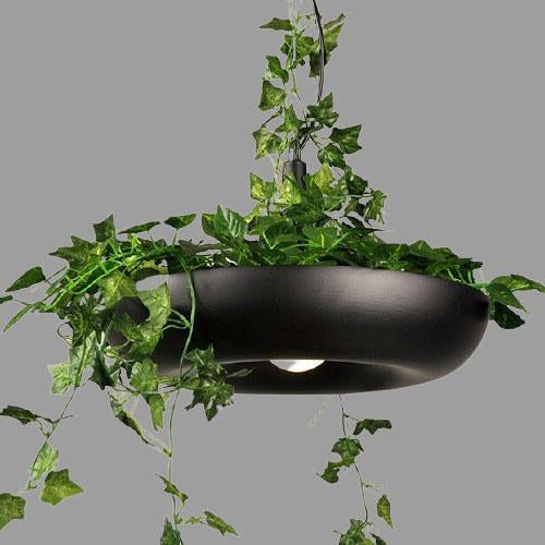 Modern Circle Plant 1-Light Pendant - Refreshing Indoor Lighting Fixture