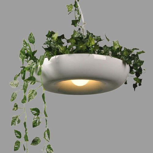 Modern Circle Plant 1-Light Pendant - Refreshing Indoor Lighting Fixture