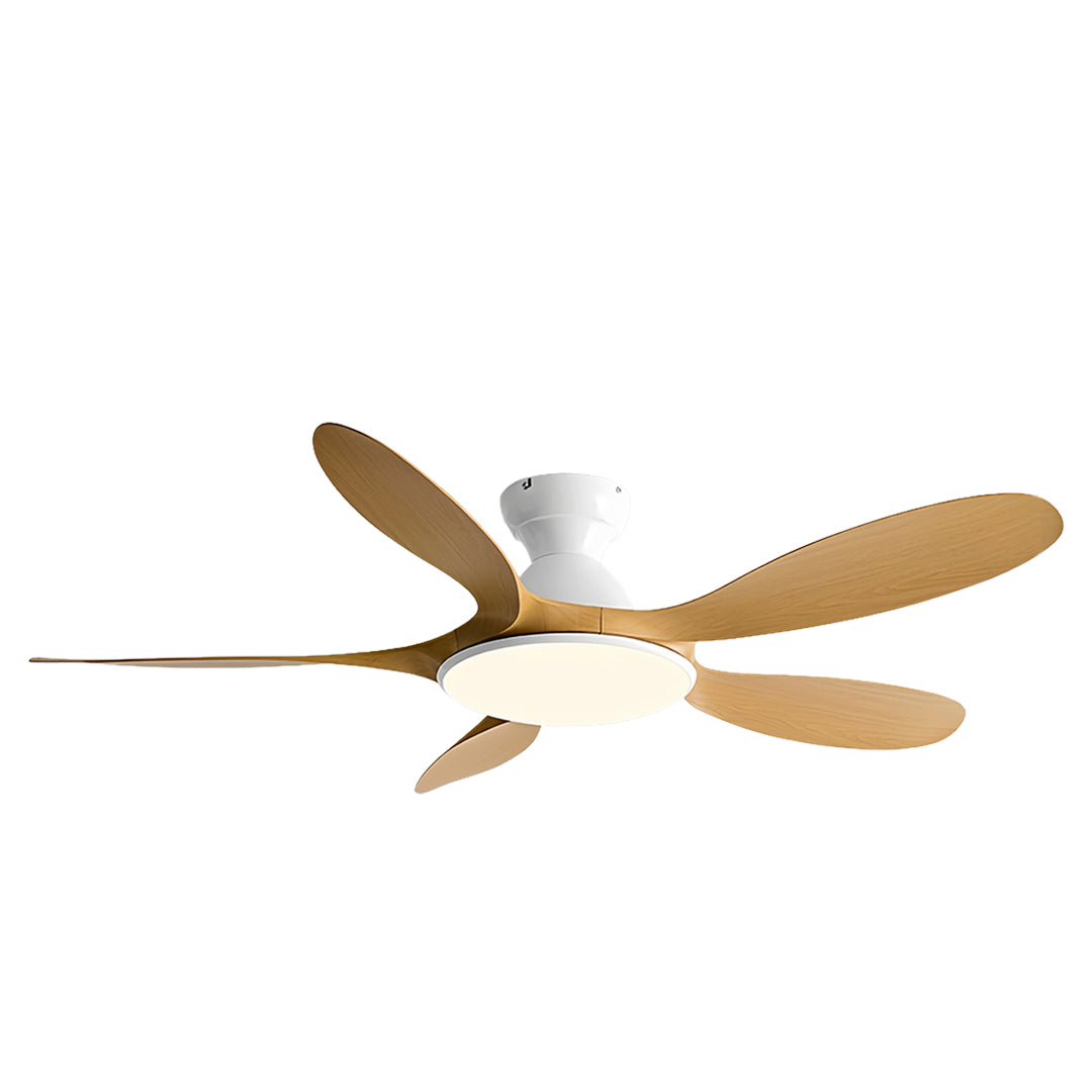5 Blade Ceiling Fan with Light - ABS Blades, Metal Body, Modern Design
