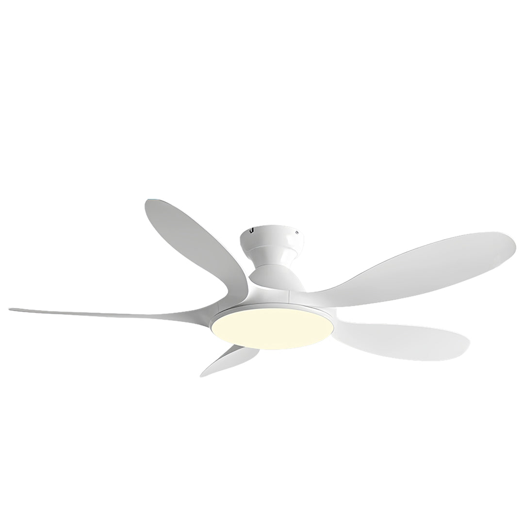 5 Blade Ceiling Fan with Light - ABS Blades, Metal Body, Modern Design