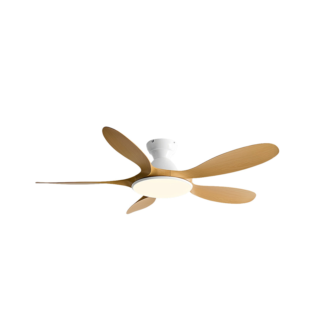 5 Blade Ceiling Fan with Light - ABS Blades, Metal Body, Modern Design