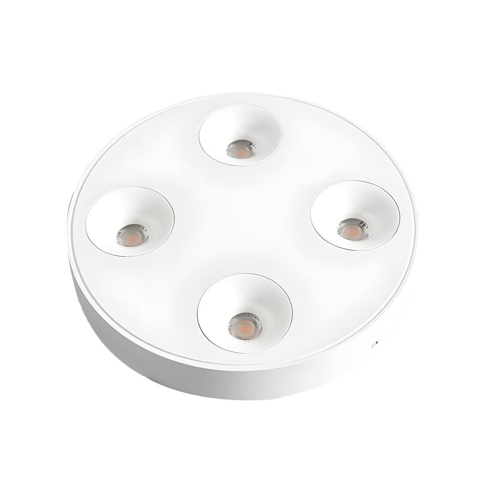 9.1-Inch 4-Light LED Flush Mount Ceiling Light for Bathroom Lighting