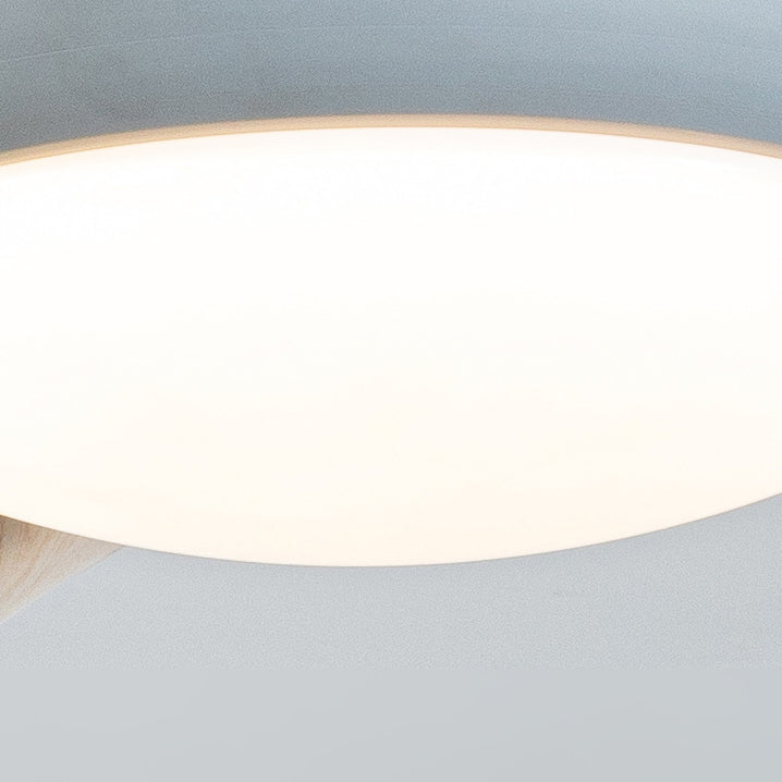 Contemporary Nordic Three-Blade LED Ceiling Fan with Acrylic Light for Living Room