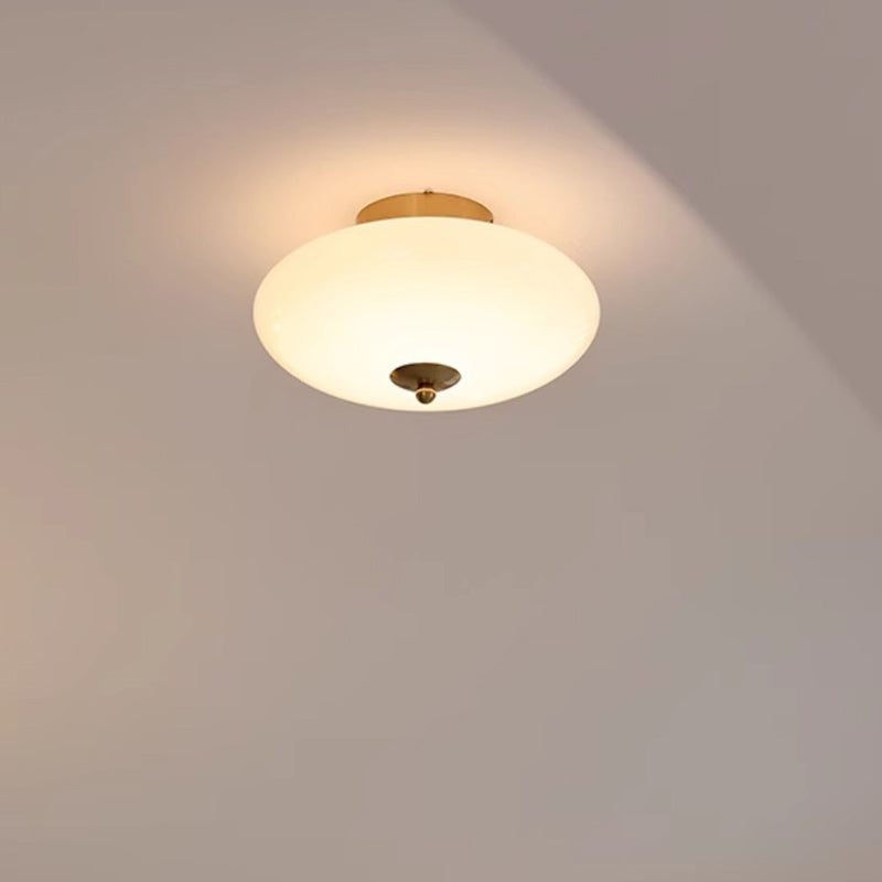 Modern Mid-Century Iron & Glass Oval LED Semi-Flush Mount Ceiling Light