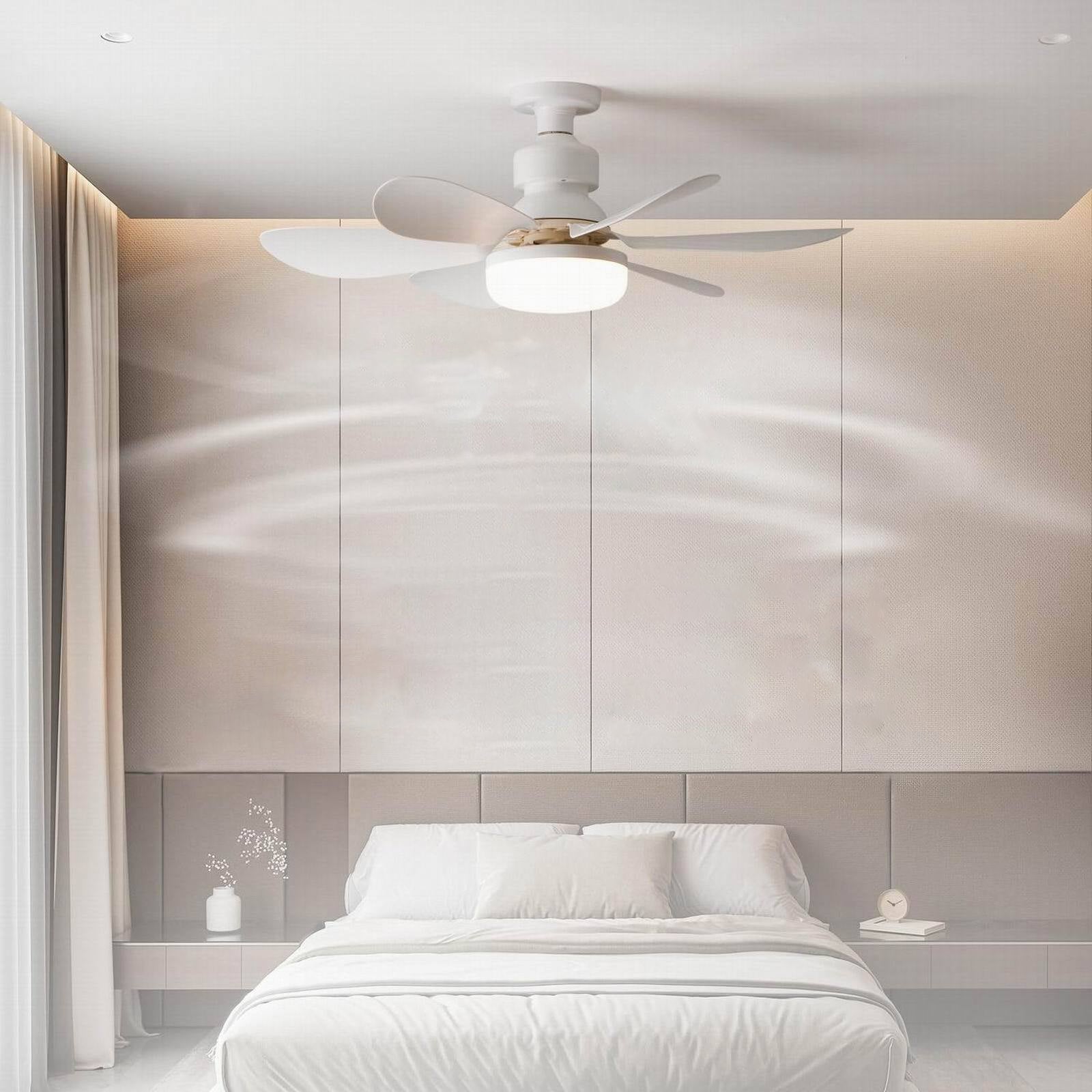 Modern Minimalist Semi-Round Ceiling Fan Light for Bedroom & Living Room - PP PC ABS Design