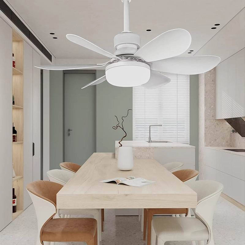 Modern Minimalist Semi-Round Ceiling Fan Light for Bedroom & Living Room - PP PC ABS Design