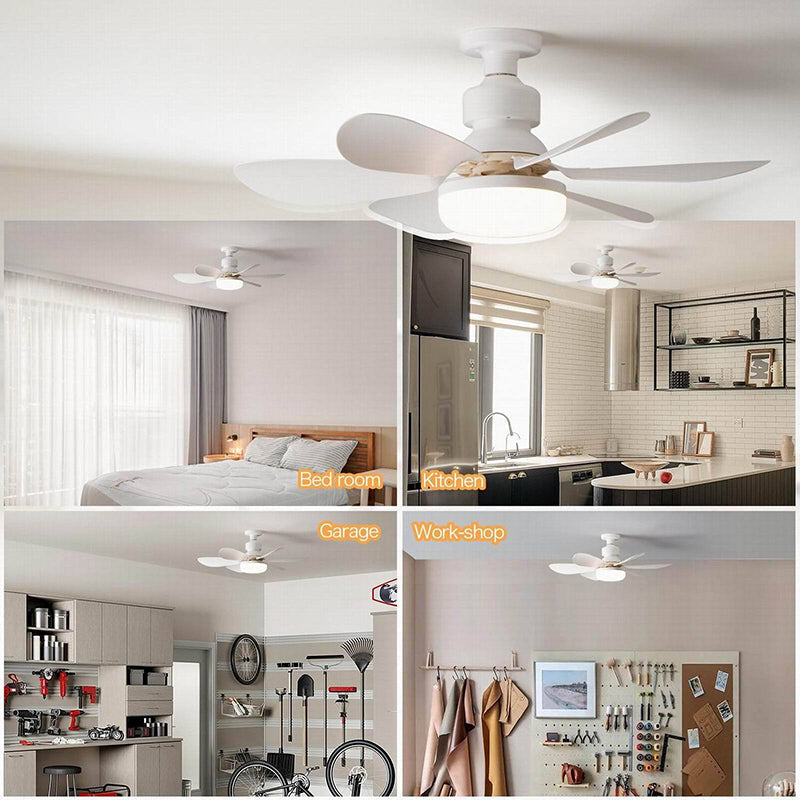 Modern Minimalist Semi-Round Ceiling Fan Light for Bedroom & Living Room - PP PC ABS Design