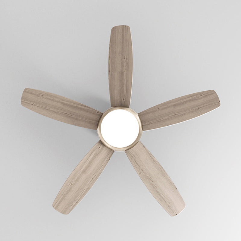 Contemporary Wood Iron LED Ceiling Fan Light for Living Room