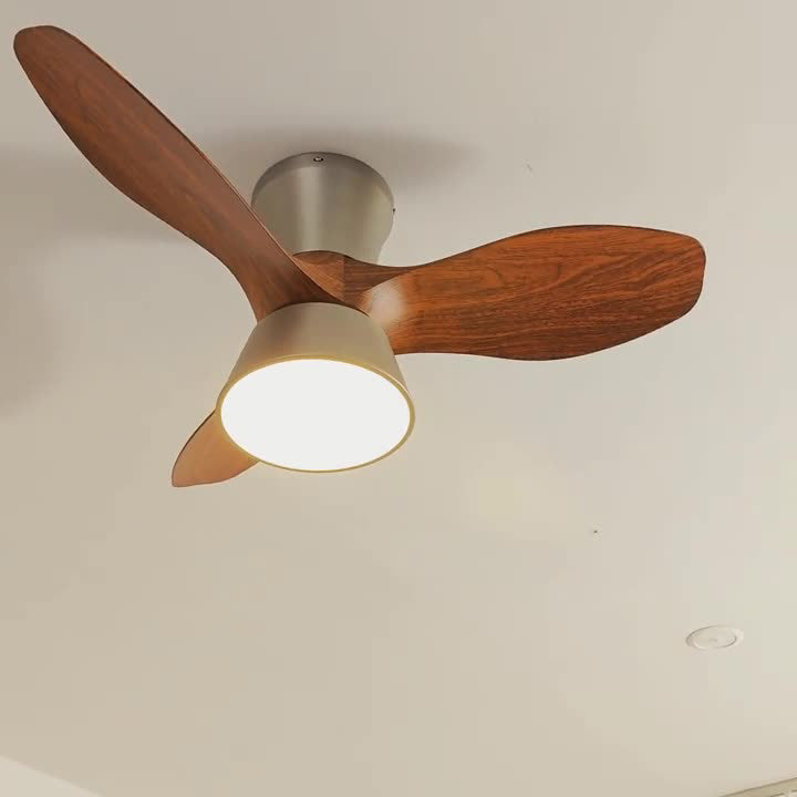 Modern Mid-Century Round LED Ceiling Fan Light - Iron & Acrylic for Living Room & Bedroom