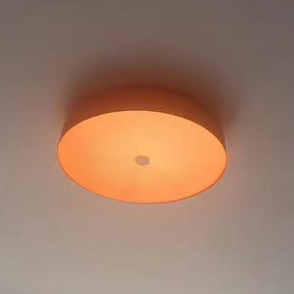 Contemporary Scandinavian Pie Shape Iron Acrylic LED Flush Mount Ceiling Light for Bedroom